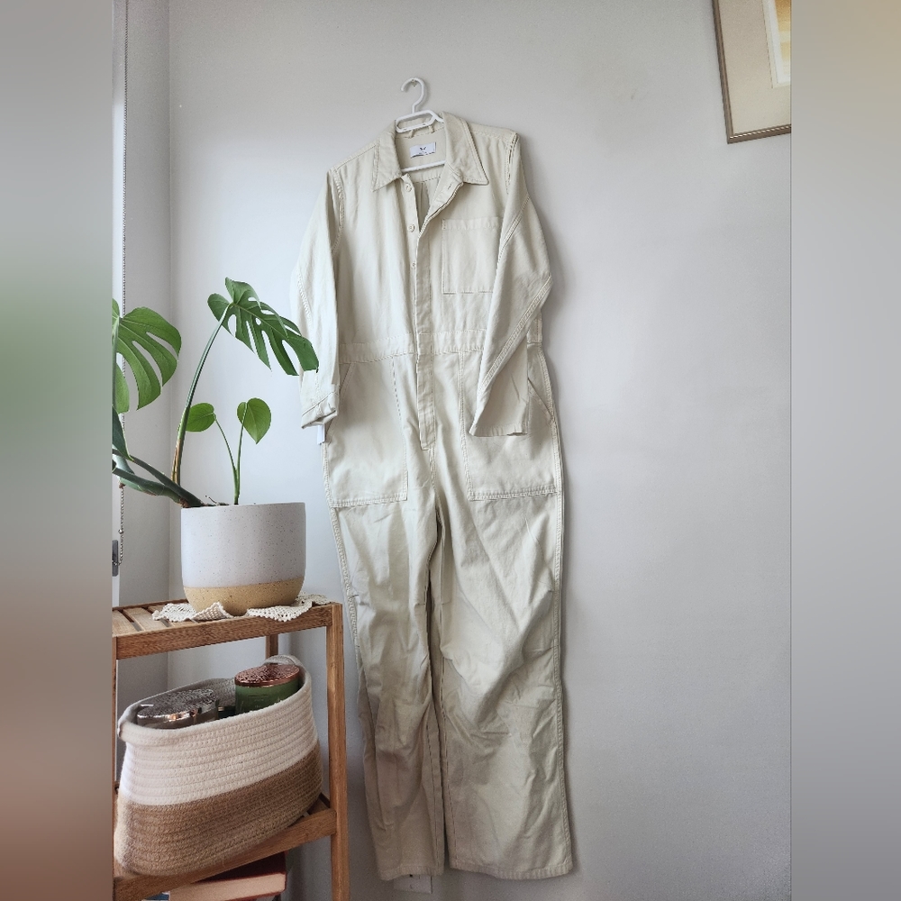 Tna Aritzia canal jumpsuit